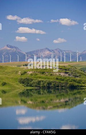 Stromerzeugenden Windmühlen in der Nähe von Pincher Creek, Alberta, Kanada. Stockfoto