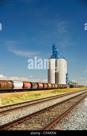 Getreidesilo und Eisenbahn in der Nähe von Transcanada Highway, Alberta, Kanada. Stockfoto