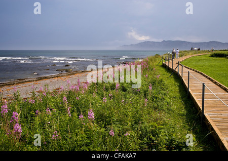 Blick entlang "Prelude ein Forillon" Trail, Forillon Nationalpark Gaspe, Quebec. Stockfoto