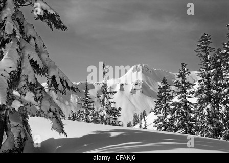 Table Mountain an einem schönen Frühlingstag Mount Baker Wildnis/Snoqualmie National Forest, Washington, USA. Stockfoto