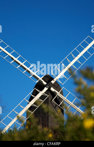 Reigate Windmühle Postmill Kirche in Heide Reigate, Surrey im Januar Stockfoto