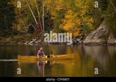 Junger Mann mit Hund auf Habichtsbitterkraut See Kanu fahren im Herbst, Mukoka, Ontario, Kanada. Stockfoto