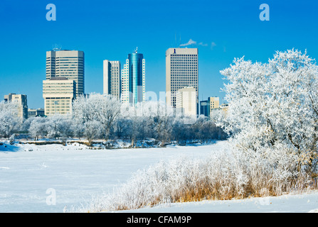 Winnipeg-Skyline von St. Bonifatius mit Bäumen bedeckt in Raureif, Manitoba, Kanada Stockfoto