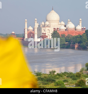 Taj Mahal, UNESCO-Weltkulturerbe in der Jumna (Yamuna) Fluss, Agra, Uttar Pradesh Zustand, Indien, Asien Stockfoto