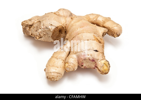 Ingwer (Zingiber Officinale) isoliert auf einem weißen Studio-Hintergrund. Stockfoto