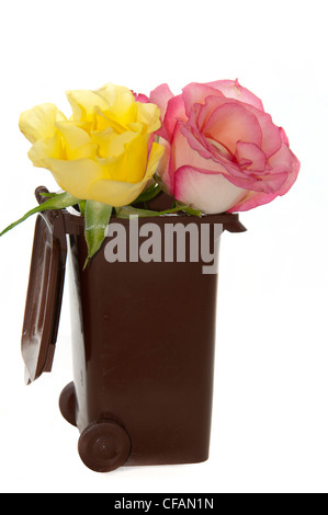 rote und gelbe Rosen im container Stockfoto