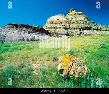 Feld und Rock Landschaft von Big Muddy Badlands, Saskatchewan, Kanada Stockfoto