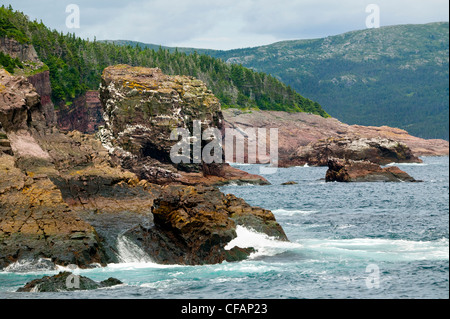 Küste in Witless Bay ökologische Reserve, Neufundland und Labrador, Kanada. Stockfoto