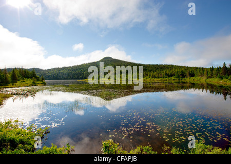 Teich im Frühling in der Nähe von Colbert es Bucht, Neufundland und Labrador, Kanada. Stockfoto