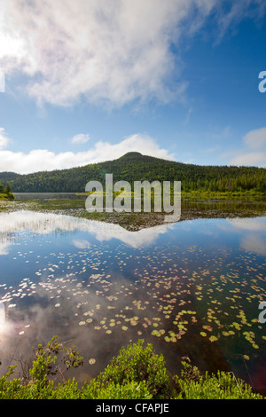 Teich im Frühling in der Nähe von Colbert es Bucht, Neufundland und Labrador, Kanada. Stockfoto