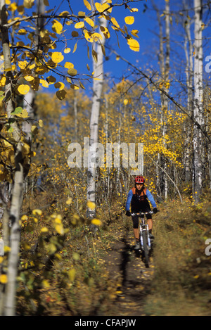 Eine weibliche Mountainbiker genießen die Wanderwege auf Sibbald Flats in Kananaskis Country, Alberta, Kanada Stockfoto