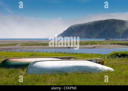 Holzboote mit Küstennebel und Schafbeweidung im Hintergrund, Zweig, Neufundland und Labrador, Kanada. Stockfoto