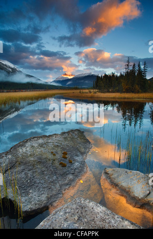 Malerisch mit Wasserreflexionen von Rampart Teichen und Mount Athabasca, Banff Nationalpark, Alberta, Kanada Stockfoto