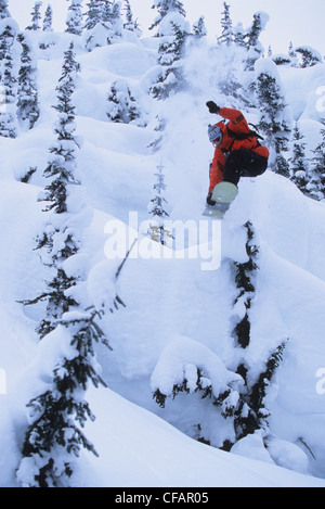 Ein Snowboarder springen die Kissen in den Lichtungen bei Roger Pass, Glacier Nationalpark, Britisch-Kolumbien, Kanada Stockfoto