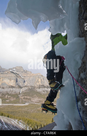 Ein Eiskletterer arbeitete sich bis Wicked Wanda WI 4, Ghost River, Ausläufer, Rocky Mountains, Alberta, Kanada Stockfoto