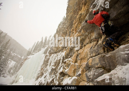 Ein Eiskletterer macht seinen Weg auf Physio-Therapie M7 WI5, Evan Thomas Creek, Kananaskis, Alberta, Kanada Stockfoto