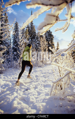 Ein junge weibliche Läufer genießen ein Wintermorgen laufen in Banff Nationalpark, Alberta, Kanada Stockfoto