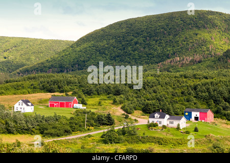 Bauernhäusern und Scheunen in Cheticamp, Cape Breton, Nova Scotia, Kanada. Stockfoto