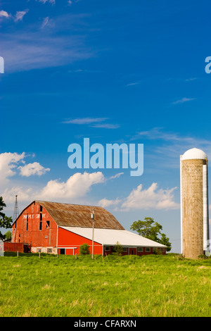 Scheune und Getreide Silo in Scugog, Ontario, Kanada. Stockfoto