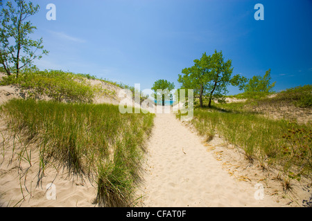 Sandigen Strand des Lake Ontario in Sandbanks Provincial Park, Prince Edward County, Ontario, Kanada. Stockfoto