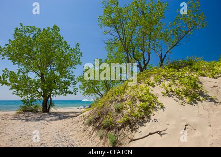 Sandigen Strand des Lake Ontario in Sandbanks Provincial Park, Prince Edward County, Ontario, Kanada. Stockfoto