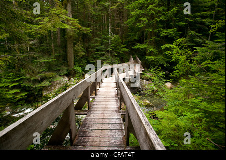 Wandern-Brücke in den üppig grünen Wald, Erdrutsch See, Strathcona Provincial Park, Vancouver Island, British Columbia, Kanada Stockfoto