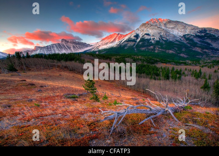 Sonnenaufgang und Alpenglühen über den Crowsnest Pass an der Grenze zwischen Alberta und British Columbia, Kanada Stockfoto