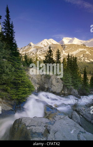 Hilda Peak und Mount Athabasca mit Wilcox Creek, Columbia Icefields, Jasper Nationalpark, Alberta, Kanada Stockfoto