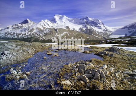 Hilda Peak und Mount Athabasca mit Wilcox Pass, Columbia Icefields, Jasper Nationalpark, Alberta, Kanada Stockfoto