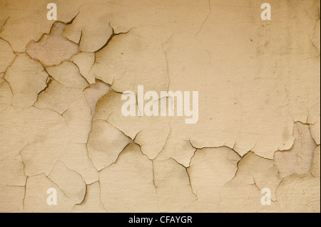 Bröckelnde Mauer der Abtei in Frankreich Stockfoto