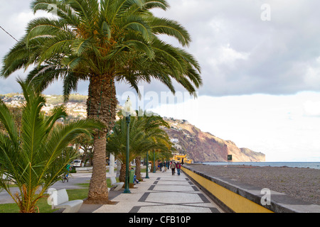 Promenade von Funchal, Madeira, Portugal Stockfoto