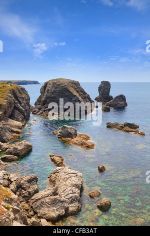 Felsige Küste in der Nähe von Pointe des Poulins Belle-Ile Bretagne Frankreich Stockfoto