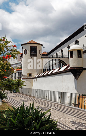 Europa, Portugal, Republica Portuguesa, Madeira, Funchal, Avenida Do Mar, Militärmuseum, Palacio de Sao Lourenco, Nucleo Museo Stockfoto