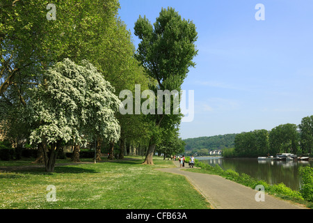 Deutschland, Koblenz, Rhein, Mosel, Maifeld, Eifel, Hunsrück, Westerwald, Rheinland-Pfalz, Deutschland, Koblenz-Oberwerth, Empres Stockfoto
