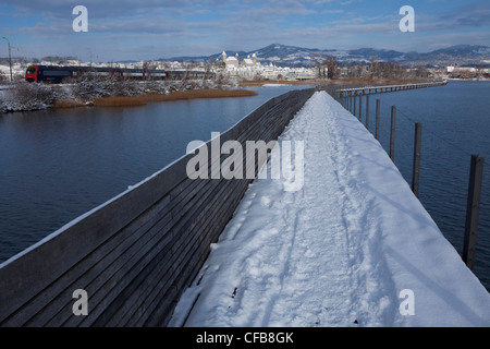 See, Kanton St. Gallen, St. Gallen, Schweiz, Europa, Stadt, Stadt, Winter, Schnee, Pfad, Steg, Holzsteg, Jako Stockfoto