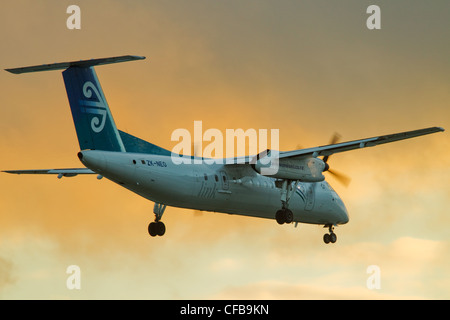 Air New Zealand Bombardier Dash 8 Flugzeuge, Flughafen Auckland, Neuseeland Stockfoto