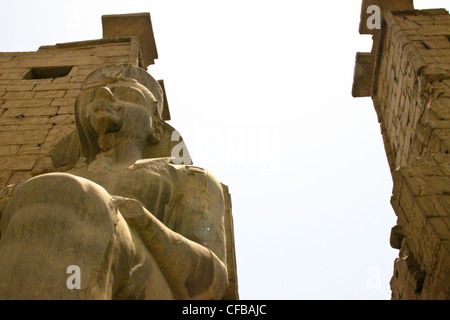 Statue von Pharao Ramses II. Im Großen Tempel von Karnak auf die Verehrung des Amun gewidmet, in der Stadt Luxor in Ägypten Stockfoto