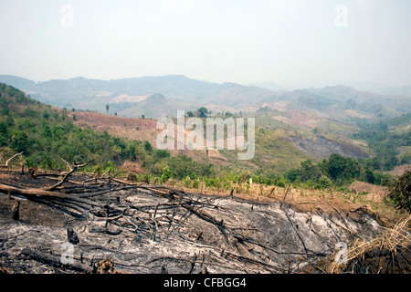 Land, das durch Brände begonnen durch Brandrodung Subsistenzbauern verkohlt worden ist in Luang Namtha Provinz, Laos dargestellt. Stockfoto