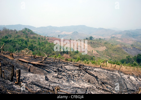 Land, das durch Brände begonnen durch Brandrodung Subsistenzbauern verkohlt worden ist in Luang Namtha Provinz, Laos dargestellt. Stockfoto