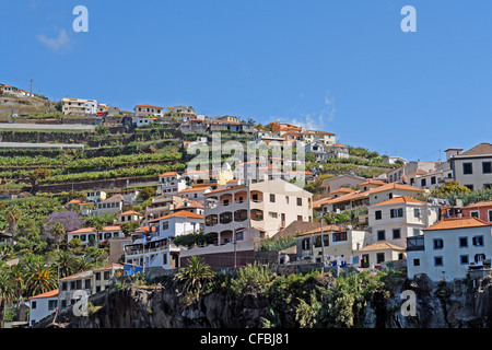 Europa, Portugal, Madeira, Camara de Lobos, Stadt, Stadt, Palmen, Restaurant von Churchill, Bäume, Hafen, Hafen, Panorama, Pflanzen, Stockfoto