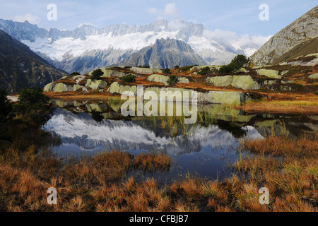 Bergsee, der Schweiz, Uri, Alpen, Berge, Gletscher, Göscheneralp, Göscheneralpsee, Herbst, Wasser, See, Staudamm, Blumen, Mo Stockfoto