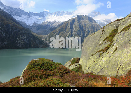 Schweiz, Uri, Bergsee, Alpen, Berge, Gletscher, Göscheneralp, Göscheneralpsee, Herbst, Wasser, See, Staudamm, Blumen, Mo Stockfoto