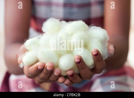 Indische Mädchen Kokons der Seidenraupe in ihren Händen halten. Andhra Pradesh, Indien Stockfoto