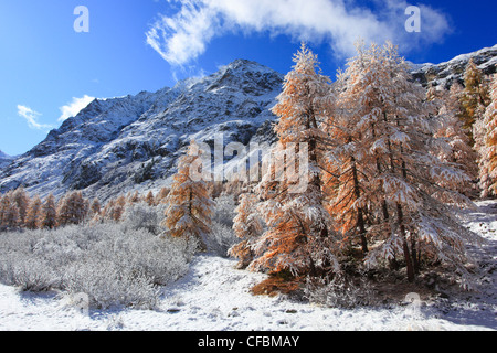 Arolla, Arolla-Tal, Arollatal, Berge, Ansicht, Eringer-Tal, Herbst, Farben, Lärche, Lärchen, Valley, Wallis, Schweiz, Stockfoto