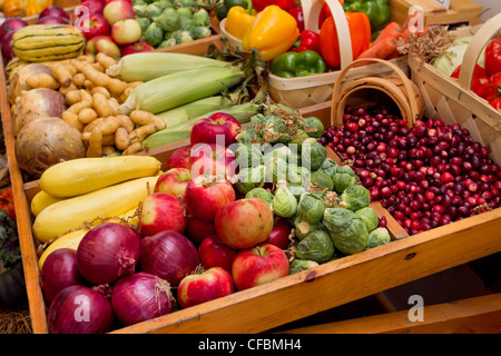 große Gruppe von Herbst Ernte Gemüse wie Mais und Äpfel Stockfoto