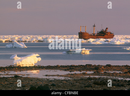 Vogel, Cove, die Hudson Bay und der Schiffbrüchigen "Ithaka", Churchill, Manitoba, Kanada Stockfoto