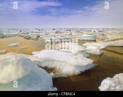 Eisberge in Vogel Cove, die Hudson Bay, Churchill, Manitoba, Kanada Stockfoto