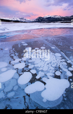 Abraham-See im Winter, Kootenay Plains, Bighorn Wildland, Alberta, Kanada Stockfoto