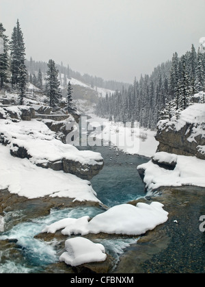 Ellenbogen Sie fällt, Elbow River, Kananaskis Country, Alberta, Kanada Stockfoto