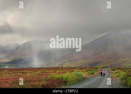 Wanderer auf nebligen Strecke, Tombstone Territorial Park, Yukon Territorium, Kanada Stockfoto